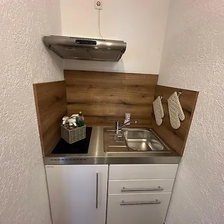 Hallenburgblick Apartamento Kurort Steinbach-Hallenberg